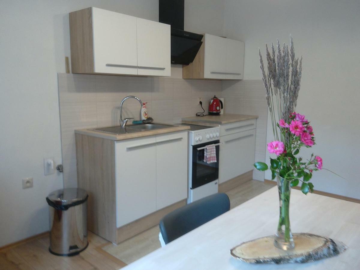 Apartman S Vyhladom Apartment Кремница Екстериор снимка